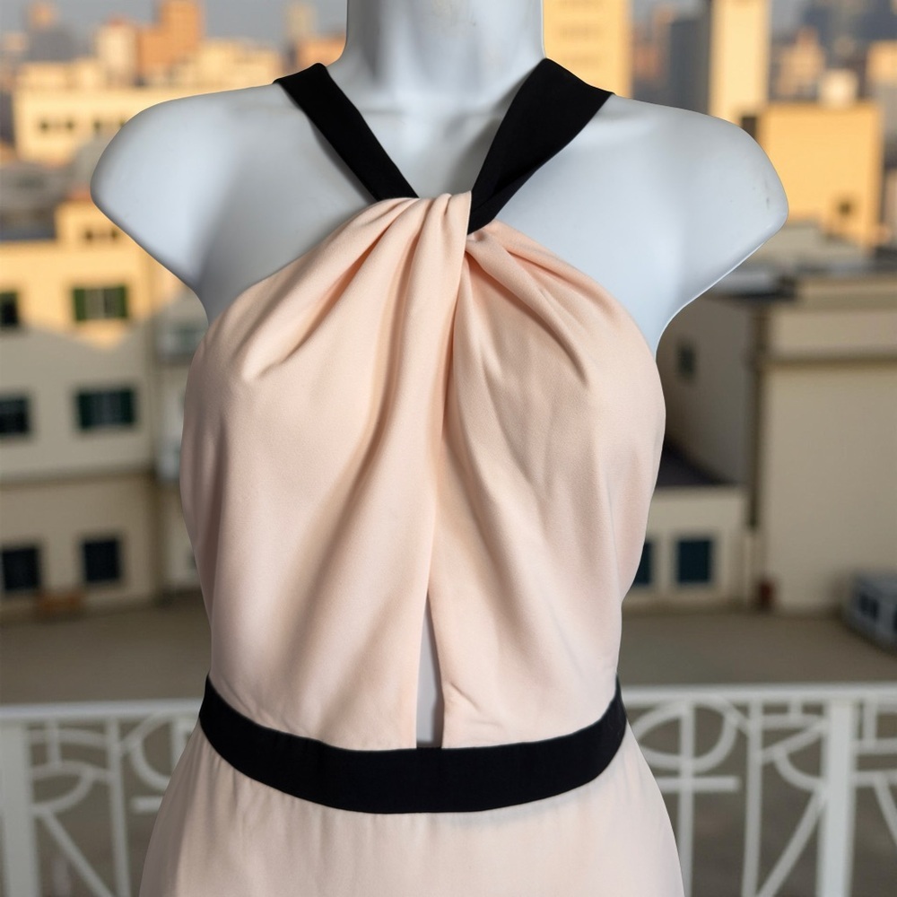 Jill Stuart Cream Blush and Black Halter Maxi Gown Size 4 - Picture 3 of 9